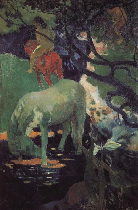 Paul Gauguin Whitehorse oil painting image